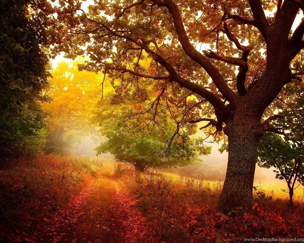 1280x1024 Nature In Autumn Wallpapers