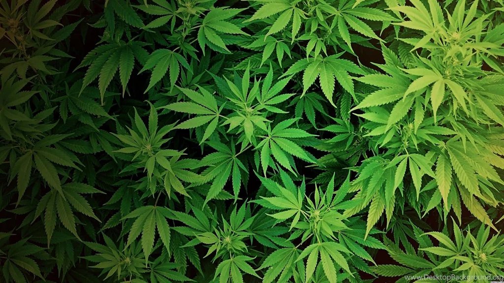 Weed Desktop Wallpaper, Weed Images