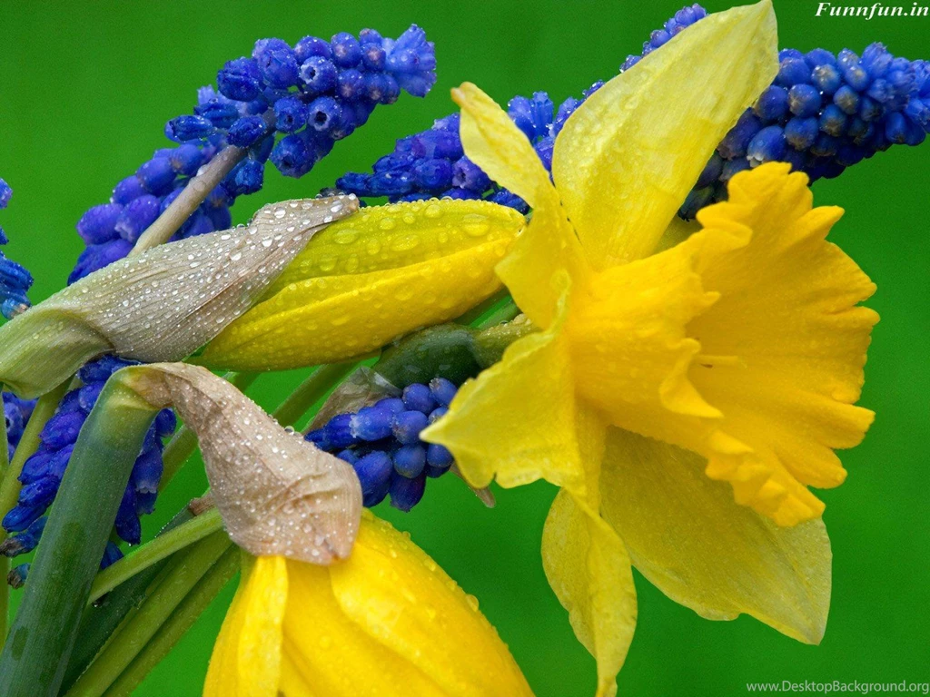 170 Nature Full Hd Wallpapers 1920X1080 Wallpapers HD Fine