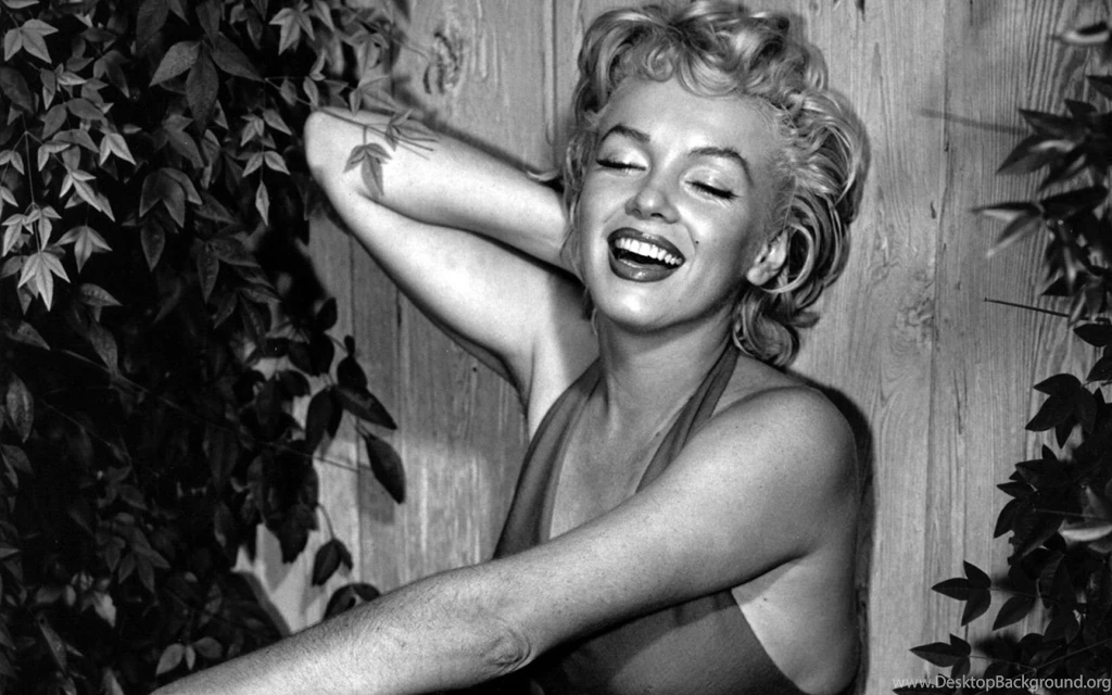 Marilyn Monroe Wallpaper Backgrounds 10 1529330