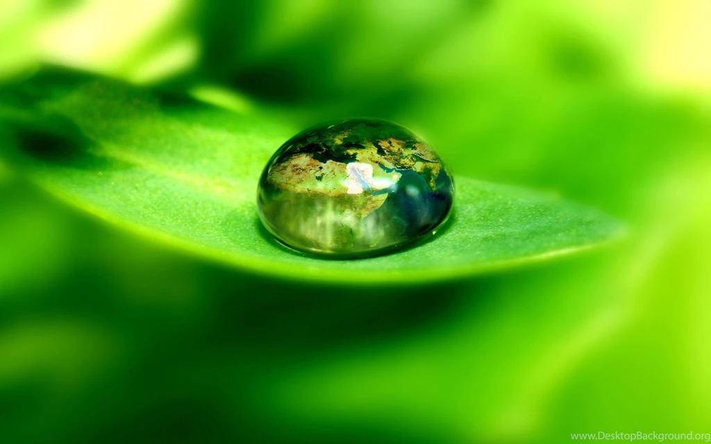 Green Wallpapers Download Wallpapers HD Fine