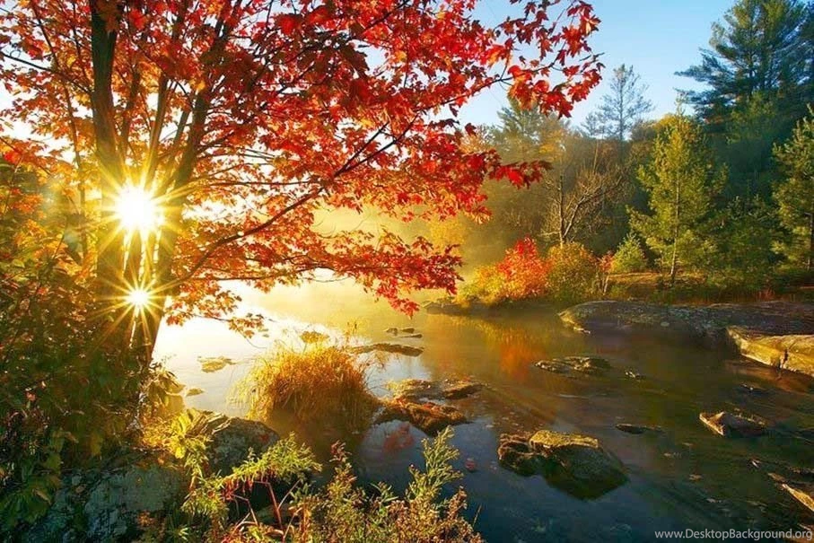 Beautiful Natural HD Wallpapers   Image Wallpapers