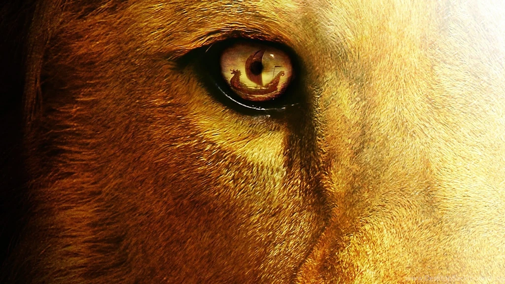 Lion Wallpapers