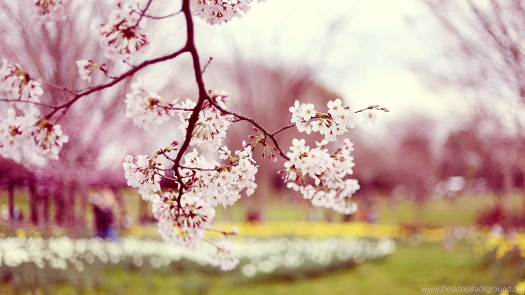 Autumn Flower Pink Natural