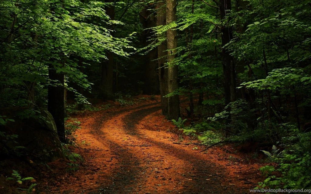 300 Full HD Best Nature Wallpapers 19... Photo 6 Of 299   Nature ...