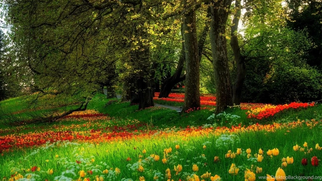 1366x768 Park Flowers Wallpapers