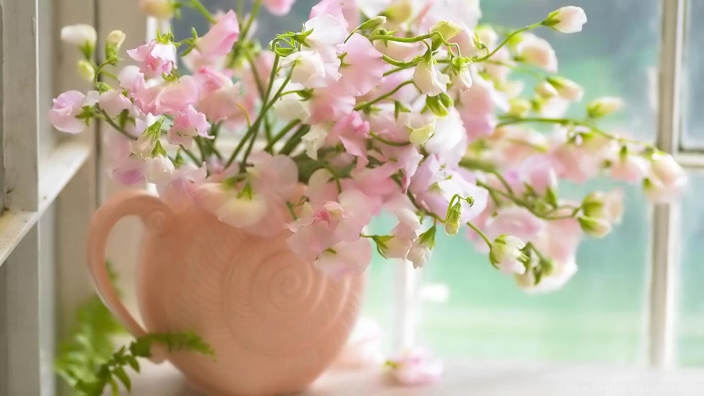 Flower At Home Image