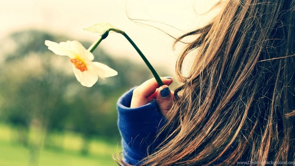 1366x768 Girl With Daffodil Flower Wallpapers