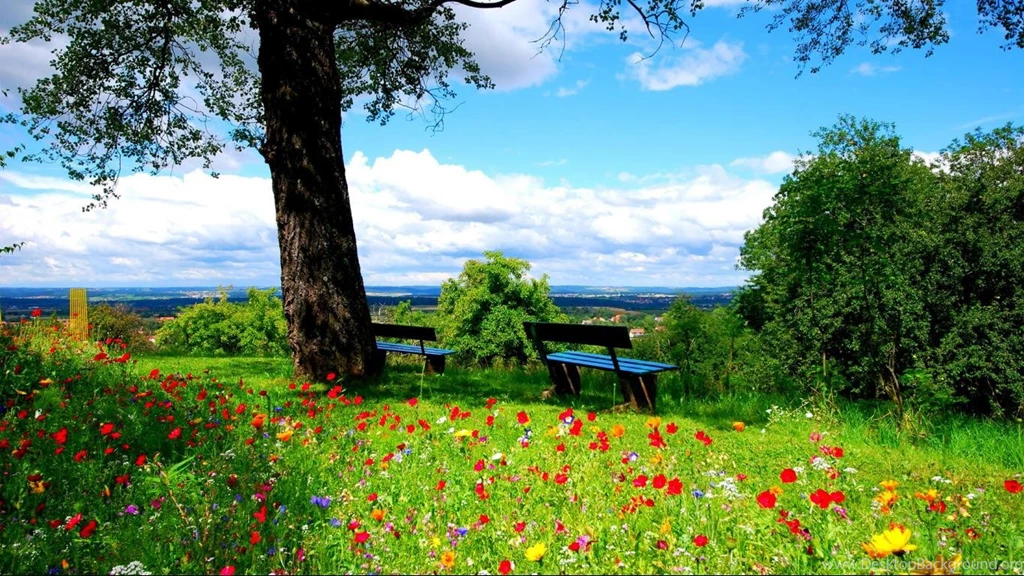 Flowers In The Park Hd Wallpaper Backgrounds 1366x768 Widescreen ...