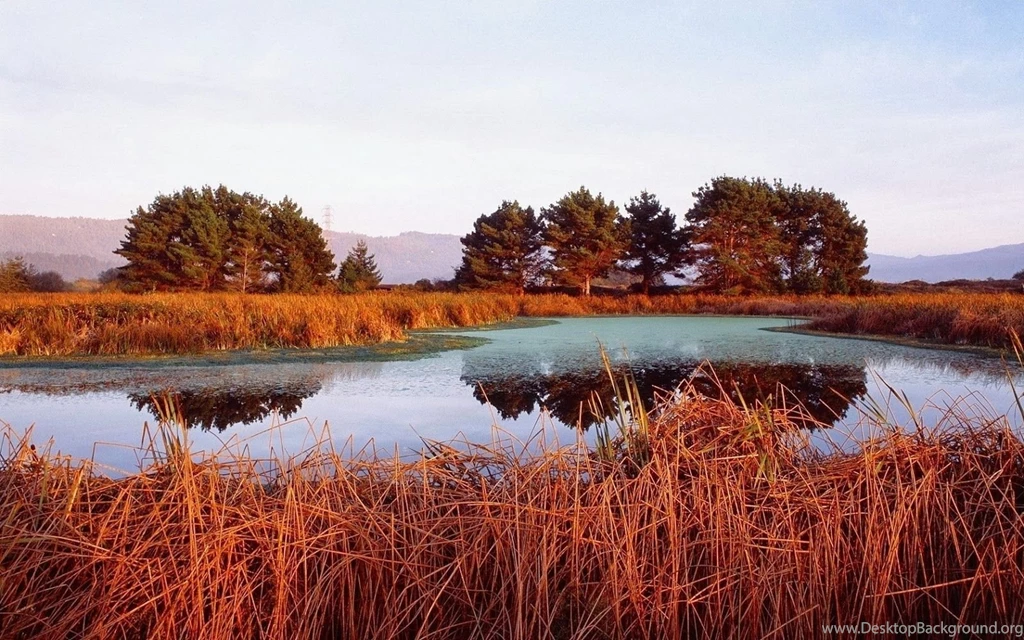 Laptop Full Hd Wallpapers   HD Wallpapers Pretty