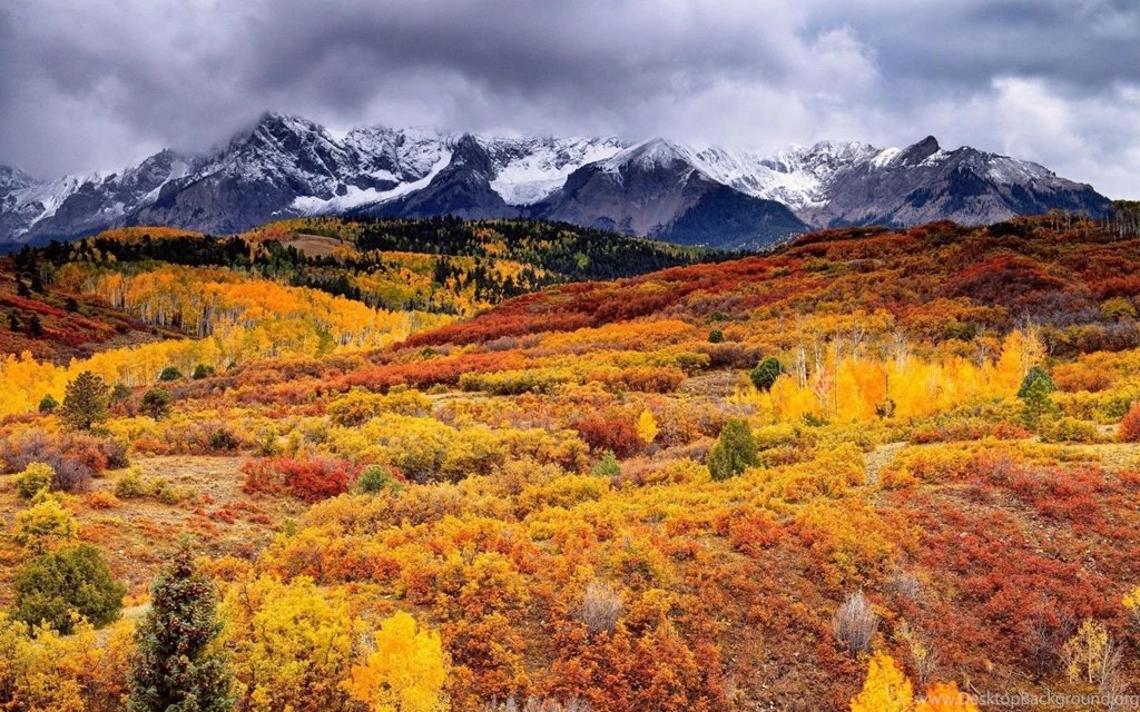 1680x1050 Autumn Nature Scenery Wallpapers