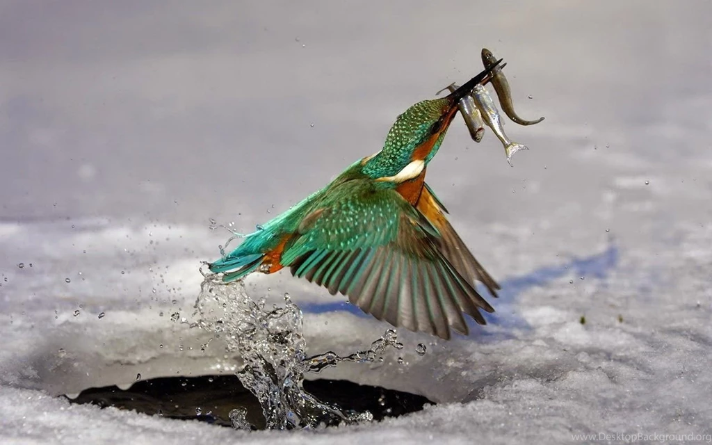 Beautiful Wallpapers For Tablets Wallpapers High Definition