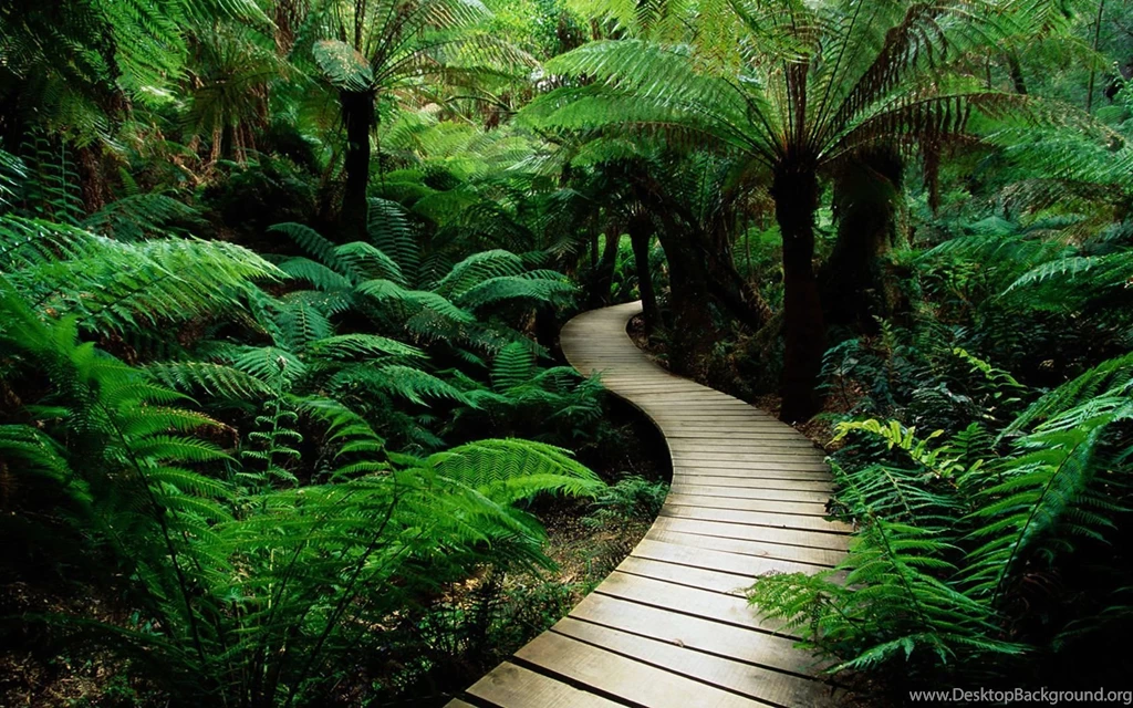 Green Nature Wallpapers   1680x1050   1658937