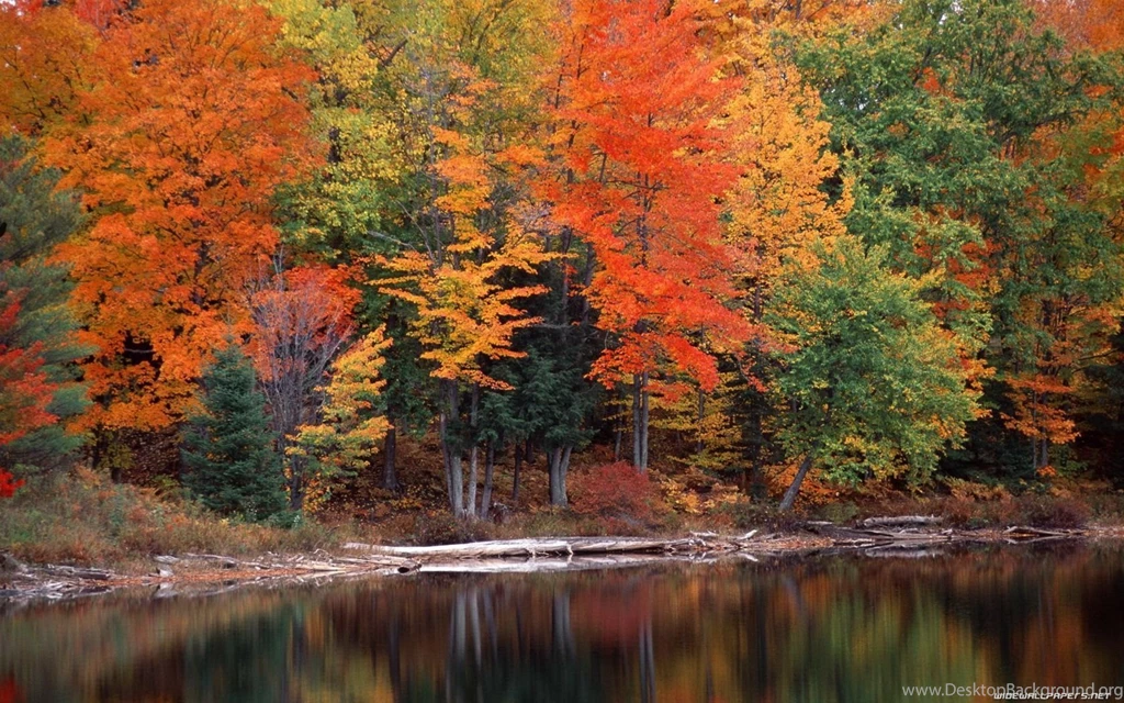 Autumn Lakes Nature Reflections Trees Wallpapers   (
