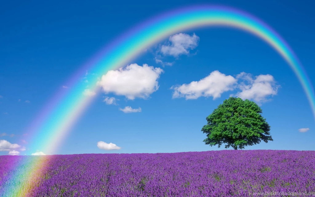Download Rainbow Wallpapers HD Resolution
