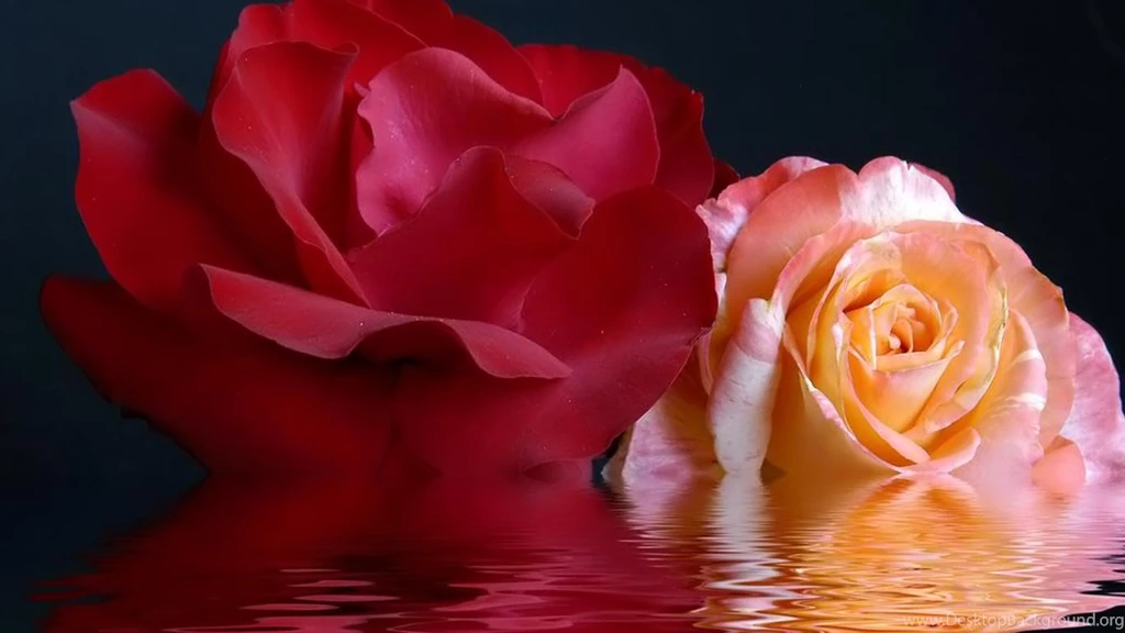 Laptop Desktop Wallpapers Desktop Backgrounds