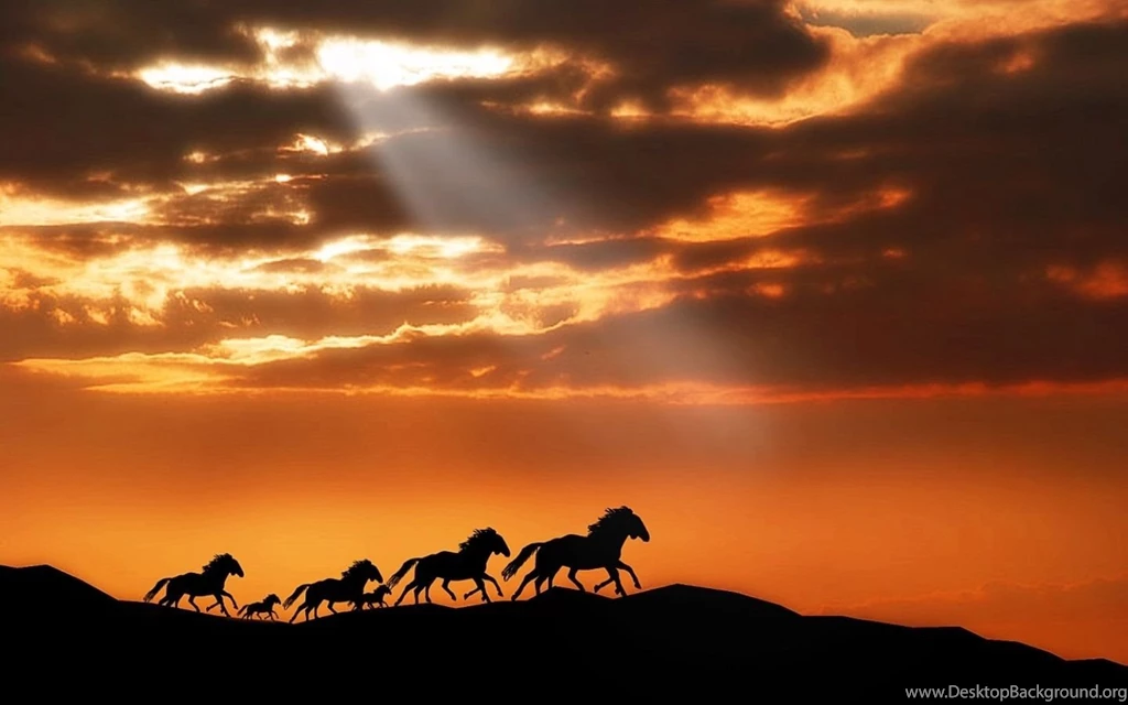 Laptop Car Backgrounds Hd Free Desktop Background Images ...