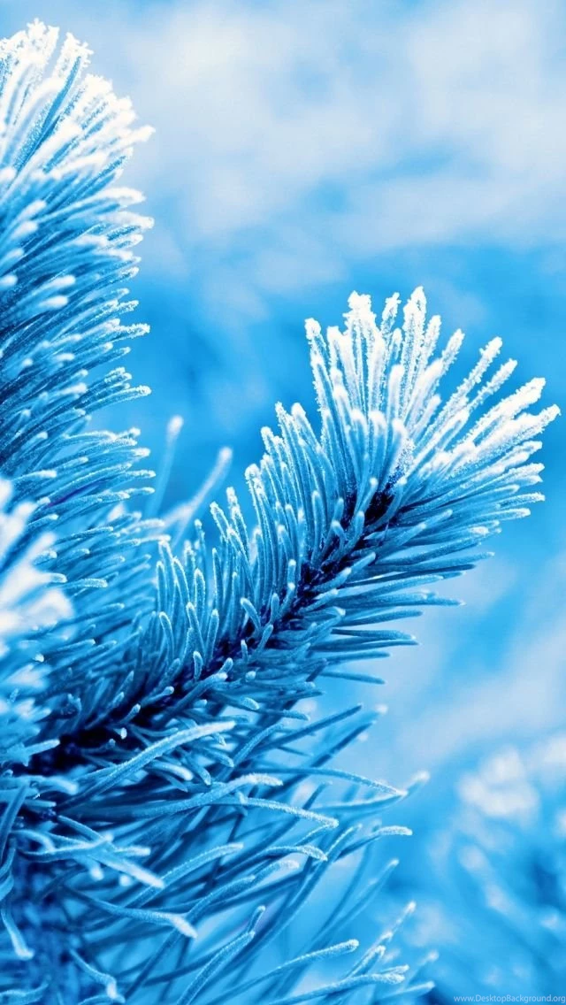 iPhone 5 Wallpapers, iPhone 5 Backgrounds