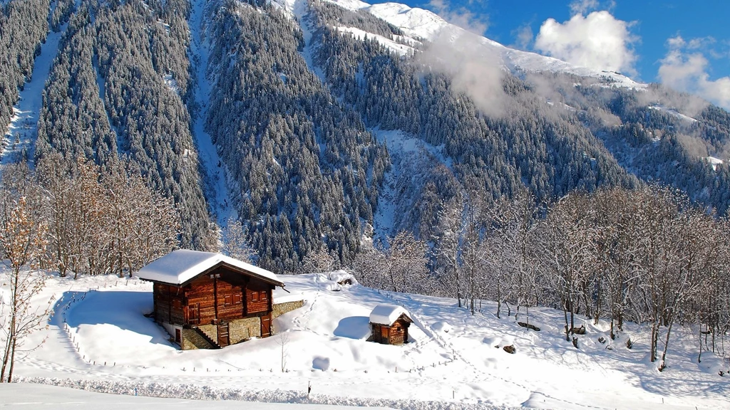 Winter In The Mountains.jpg