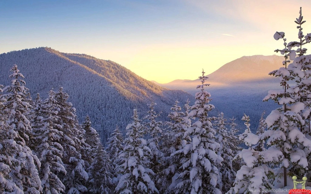 PhoneGames For > Snow Desktop Backgrounds