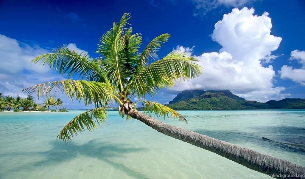 Cool Wallpapers HD Widescreen For Desktop Mobile Iphone Windowns7 ...