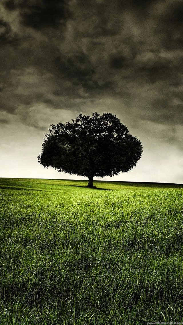 Cool iPhone 5 Wallpapers HD The Wondrous Pics