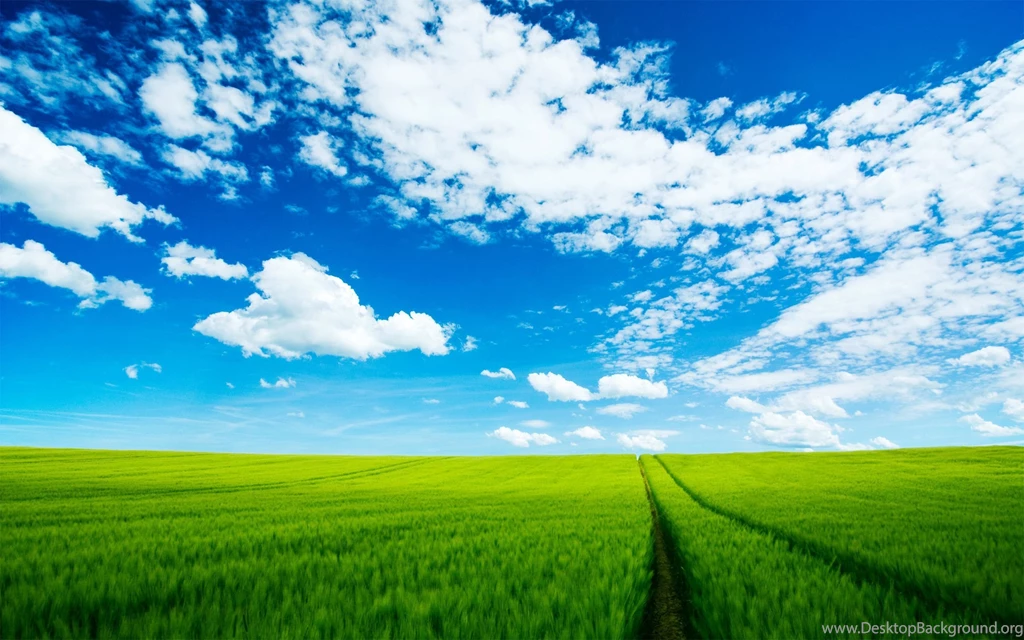 Top Impressive Hd Summer Wallpaper Images For Pinterest