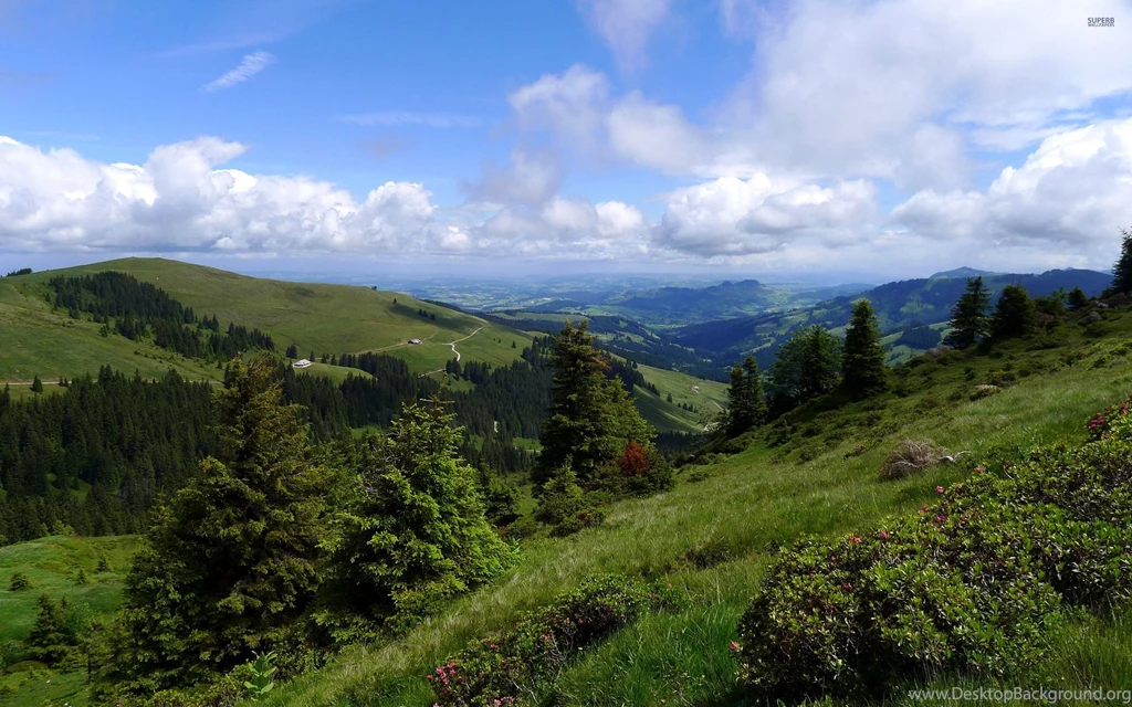 Summer Nature Wallpapers
