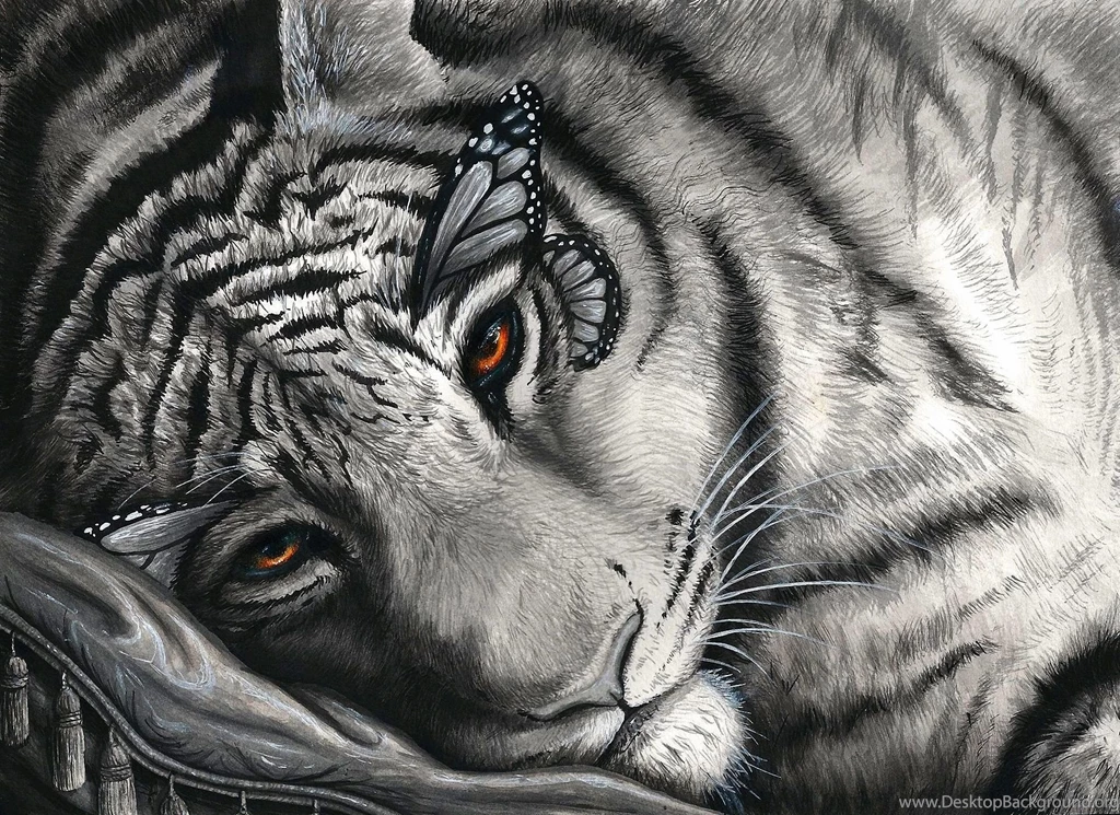 White Tiger Butterfly Eyes Desktop Backgrounds HD 1920x1397 ...