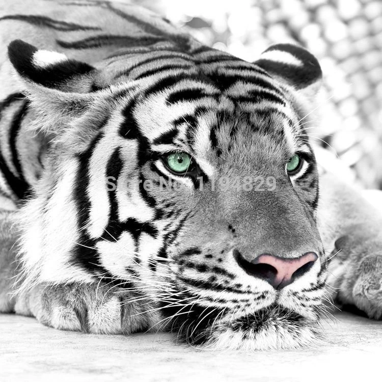 Wallpapers Girl Picture More Detailed Picture About 3D Nature ...