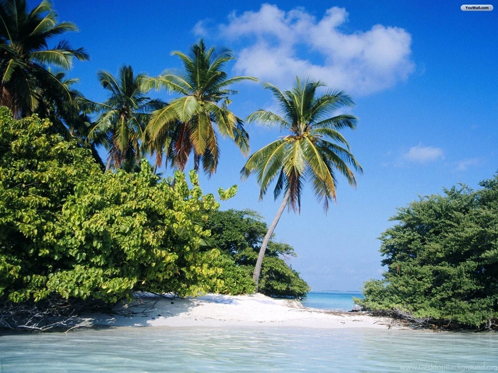 YouWall Tropical Island Wallpapers Wallpaper,wallpapers,free ...