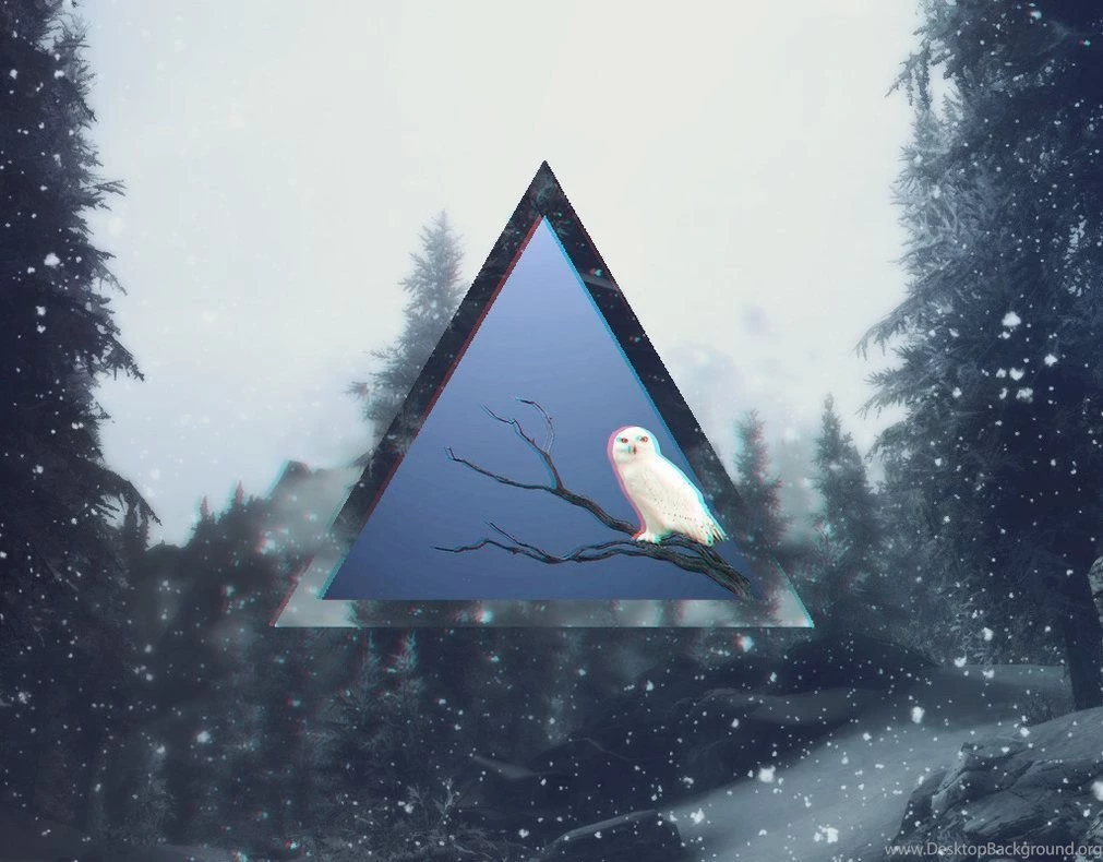 Snowy Owl Hipster Wallpapers By Me969 On DeviantArt