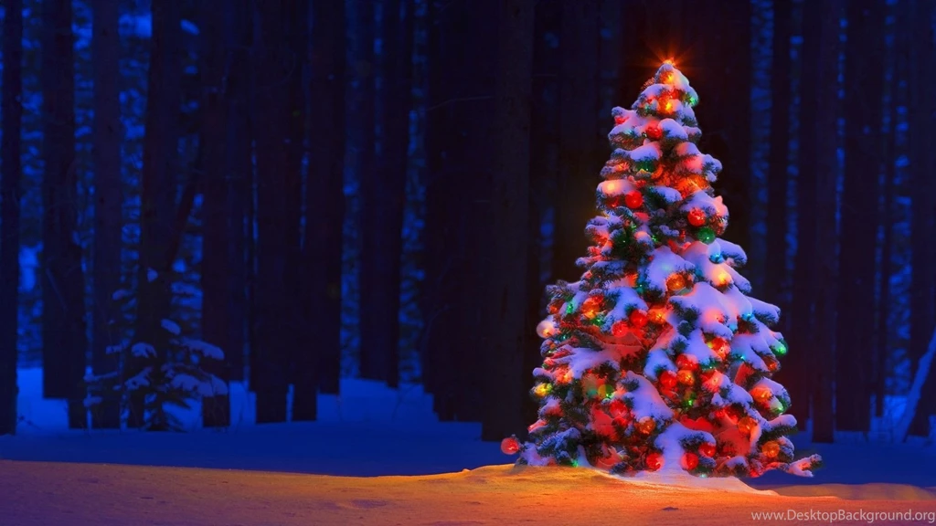 Christmas Tree Wallpapers High Definition