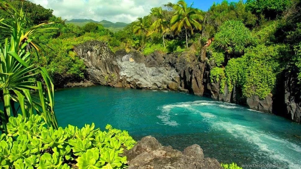 Nature Wallpapers: Nature Wallpaper,nature Wallpapers For Android ...