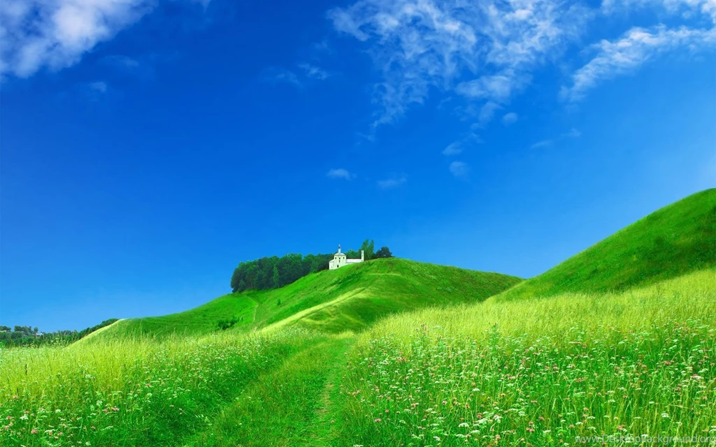 Wallpapers Nature 1