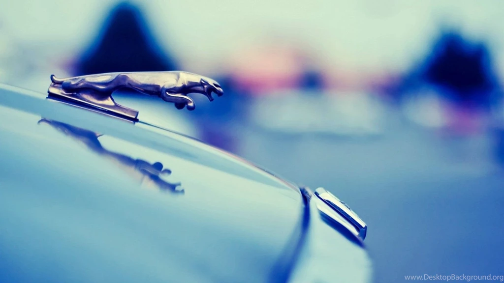 Top Jaguar Logo Hd Wallpaper Images For Pinterest