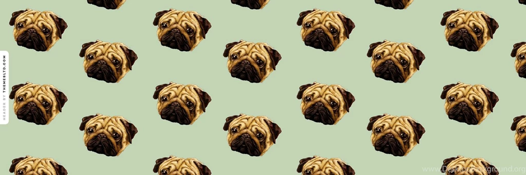 Adorable Pug Heads Twitter Header Animal Wallpapers