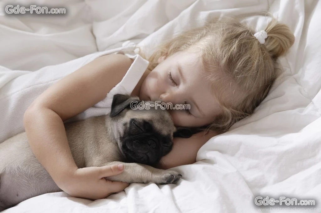 335015_devochka_shhenok_mops_son_5615x3735_www.Gde Fon.com.jpg
