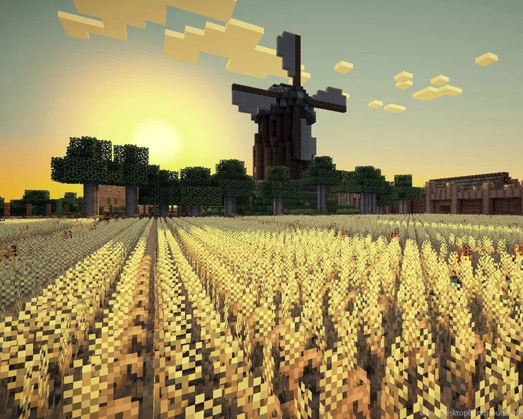 Minecraft field.jpg