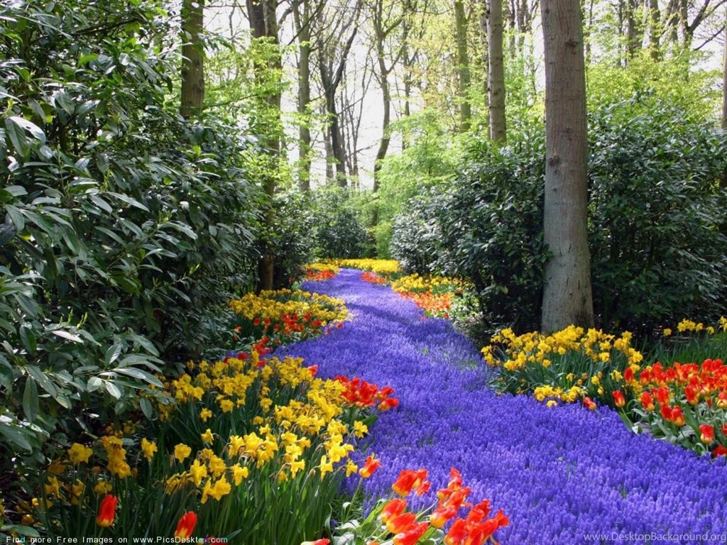 Springtime Computer Wallpapers Background Images