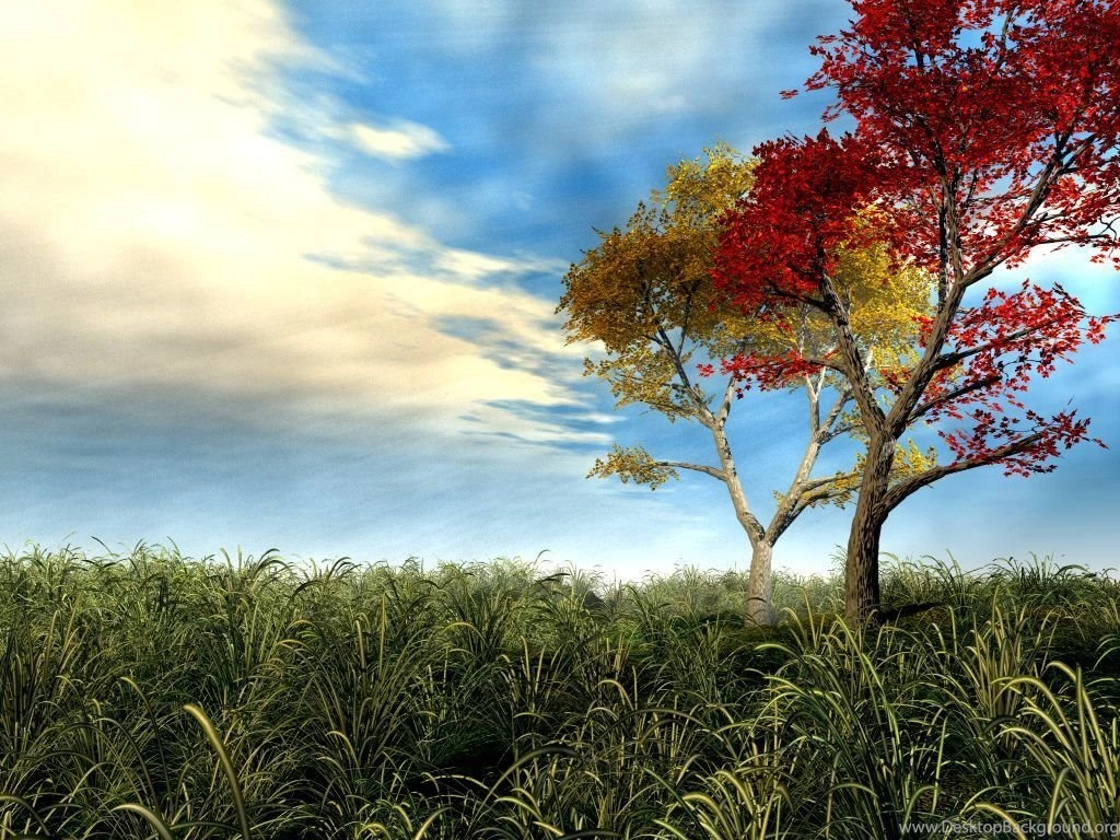 3D WALLPAPER STAY028