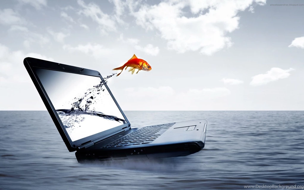 Fish With A Laptop Screen HP Wallpapers And Images Wallpapers ...