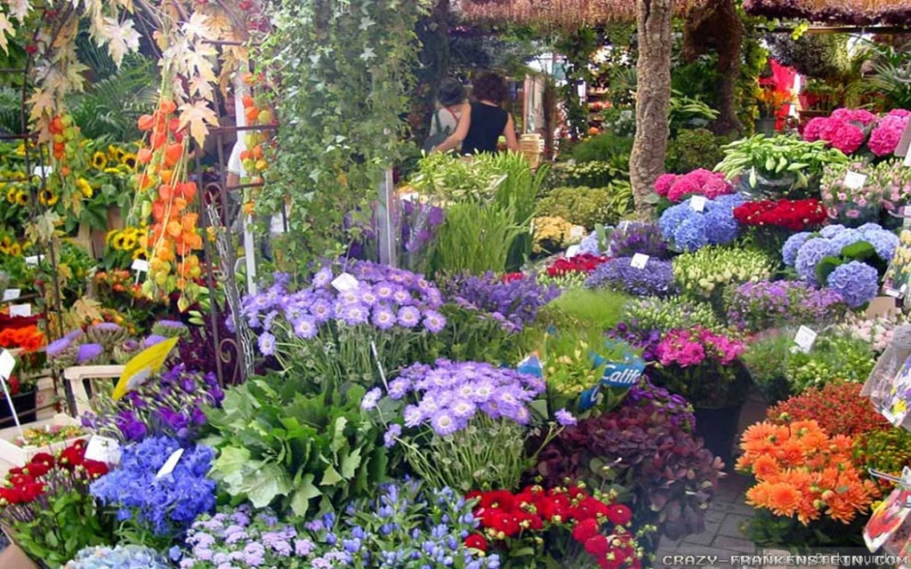 Beautiful Flower Garden Wallpapers Hd Wallpapers Lovely Desktop Background Beautiful Flower Garden Wallpapers Hd Wallpapers Lovely Desktop Background