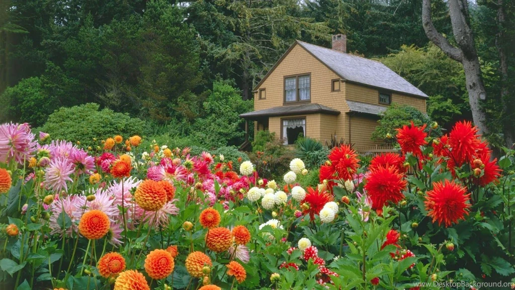 Flower Garden Wallpapers Free Download