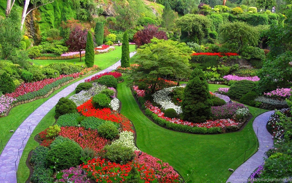 Amazing Garden Flowers Pictures.jpg