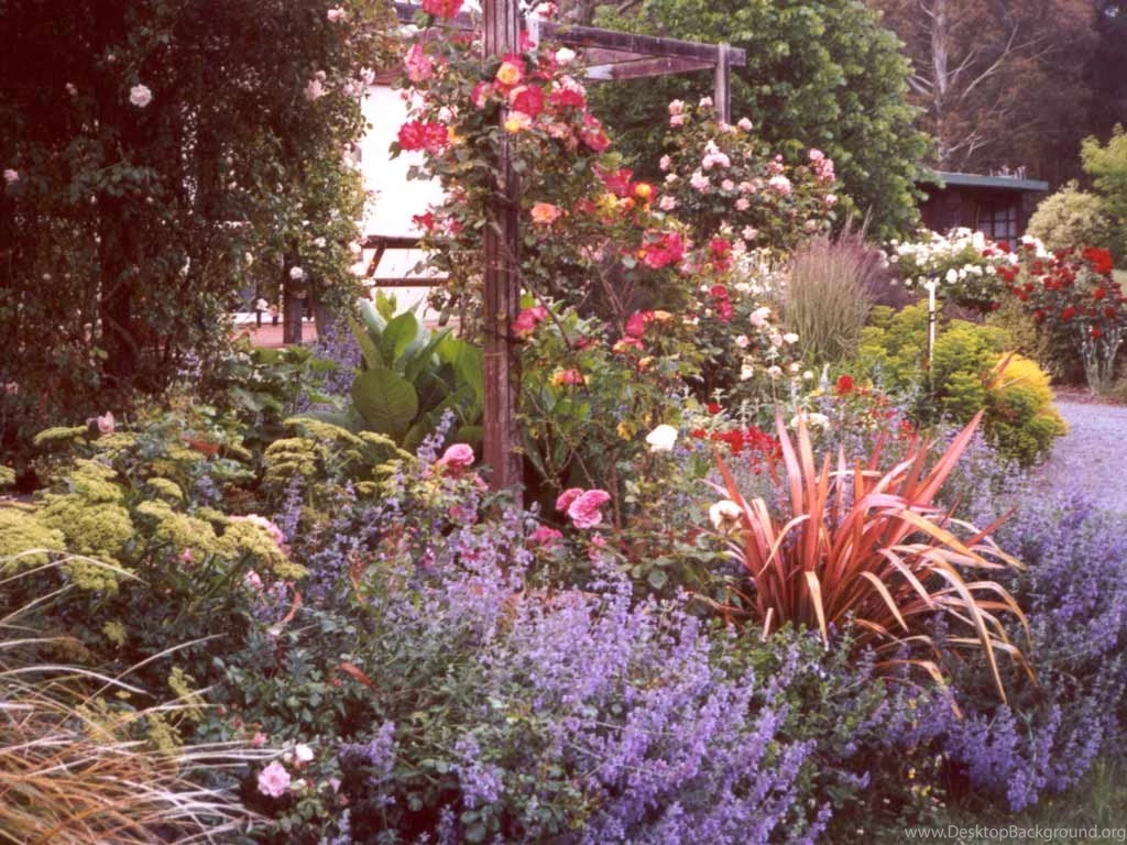 Flowers Garden Pictures Desktop Backgrounds