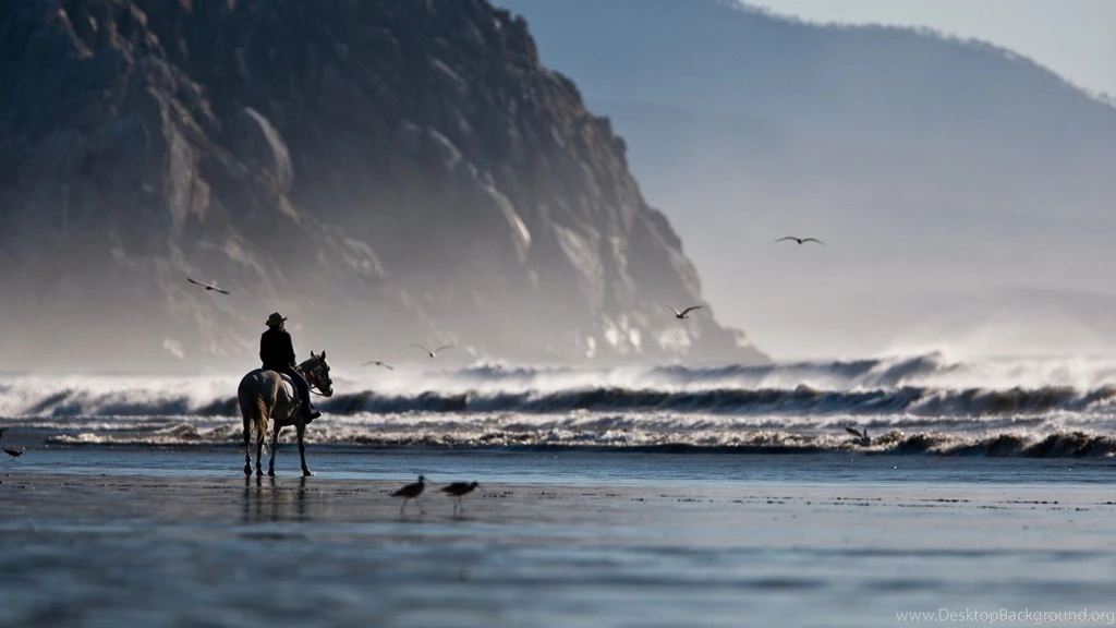 Riding The Horse On The Shore Wallpapers For Samsung Galaxy Tab