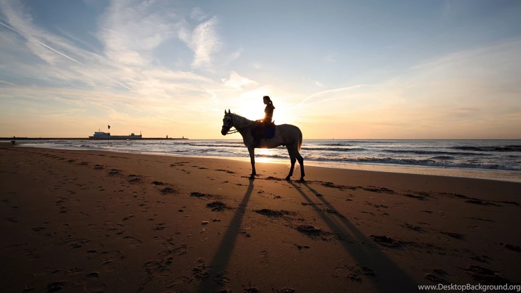 9 Horse Riding HD Wallpapers