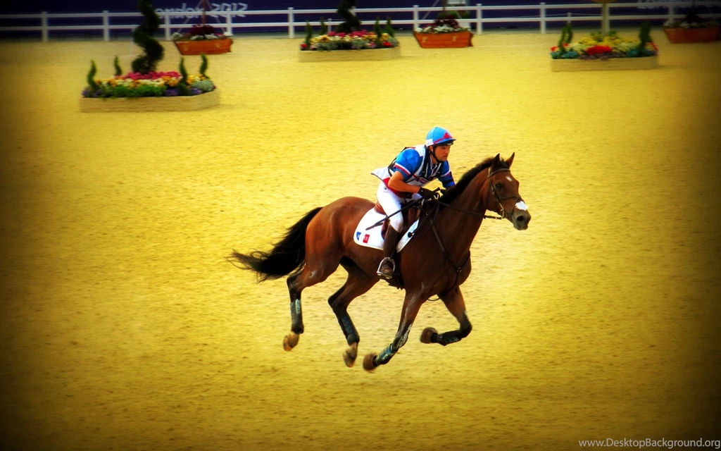 Horse Riding Sport