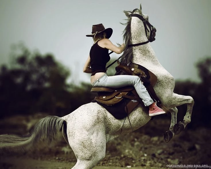 Cowboy Girl Riding Horse Into The Sunset   54ka [photo Blog]